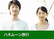 �ϥͥࡼ��ι��